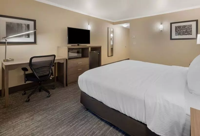 酒店 Best Western Plus Chena River Lodge