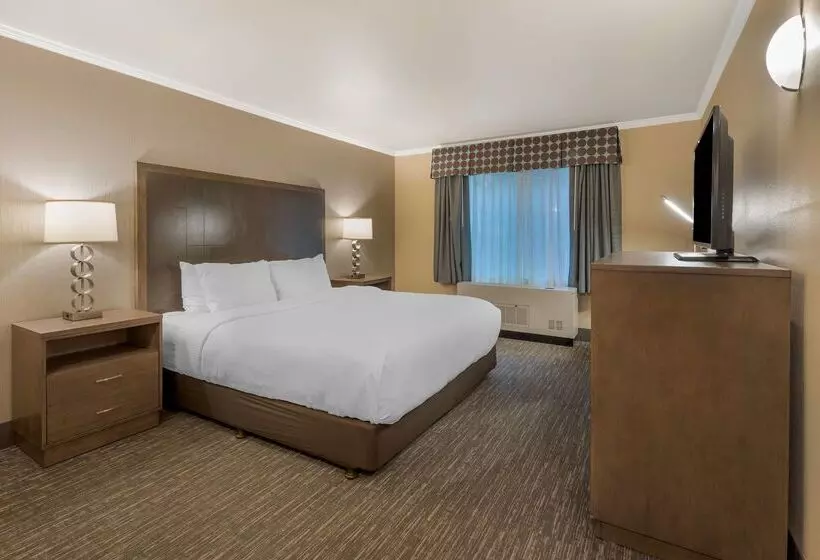 酒店 Best Western Plus Chena River Lodge