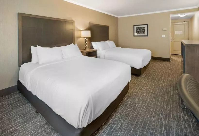 酒店 Best Western Plus Chena River Lodge