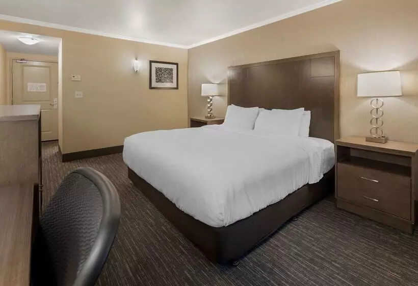 酒店 Best Western Plus Chena River Lodge