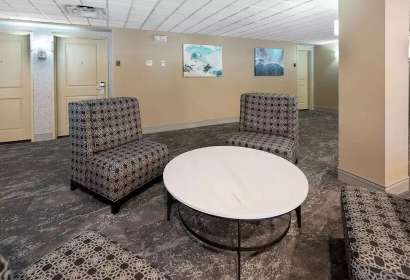 酒店 Best Western Plus Chena River Lodge