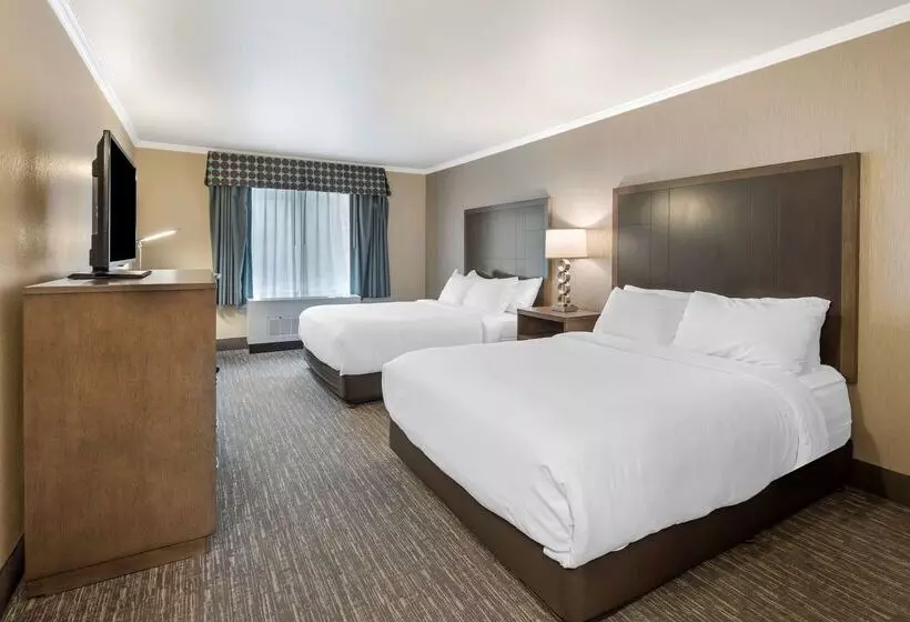 酒店 Best Western Plus Chena River Lodge