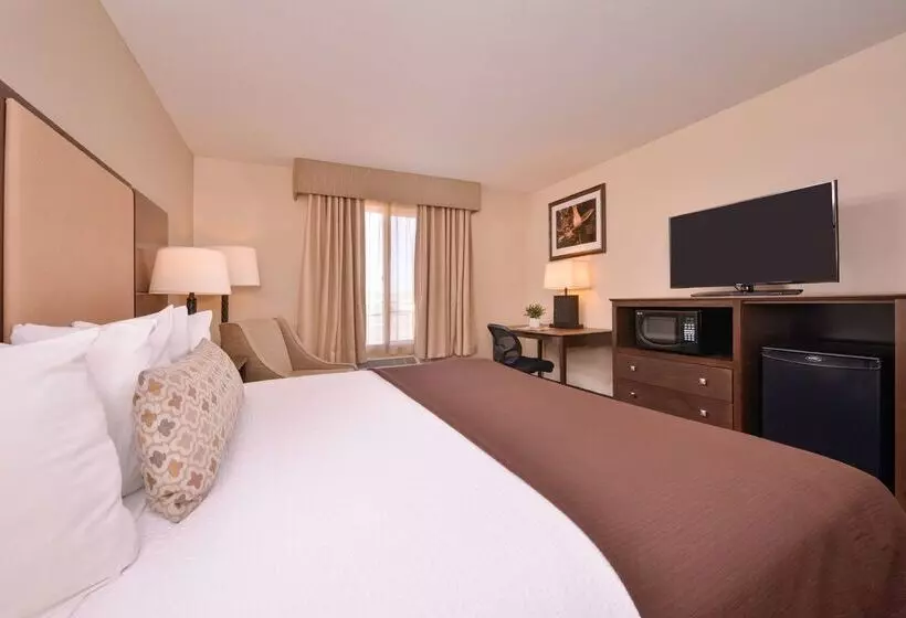 호텔 Best Western Plus Frontier Inn