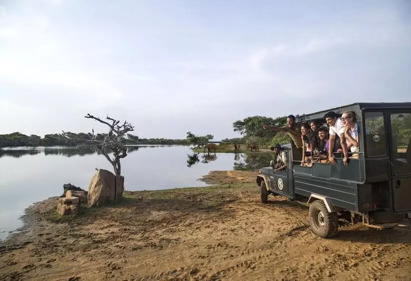 호텔 Cinnamon Wild Yala