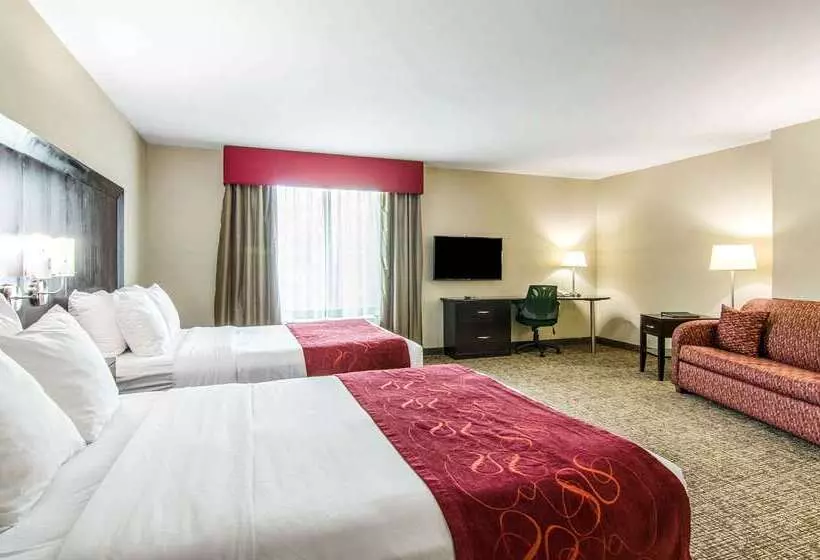 ホテル Comfort Suites Bentonville  Rogers