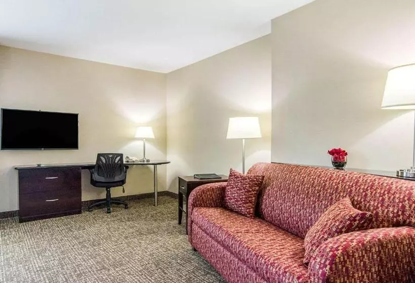 ホテル Comfort Suites Bentonville  Rogers