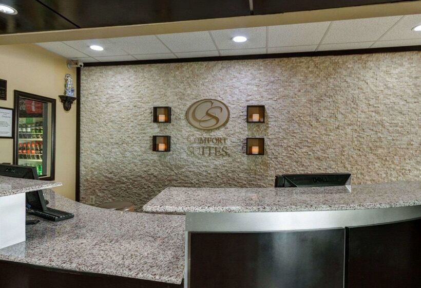 فندق Comfort Suites Lake Ray Hubbard