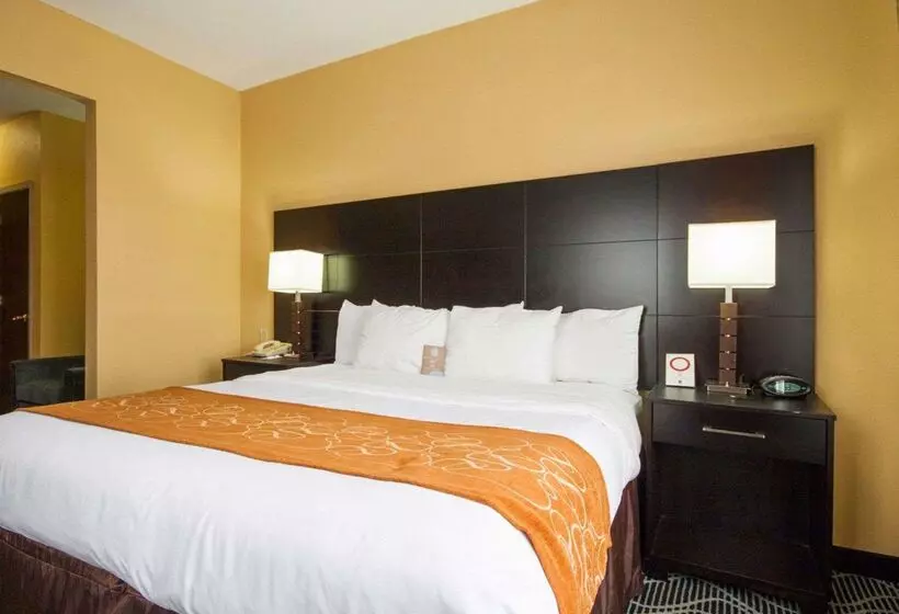 Отель Comfort Suites Lake Ray Hubbard