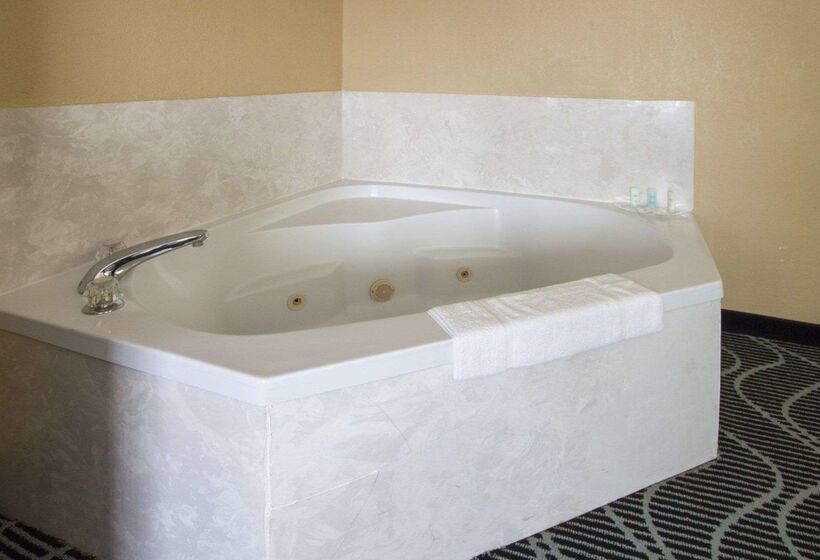 فندق Comfort Suites Lake Ray Hubbard