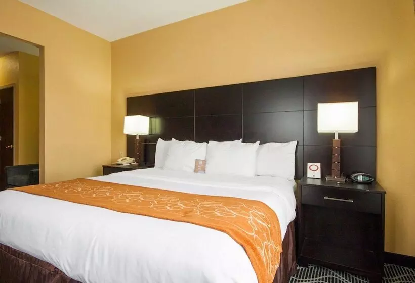 Отель Comfort Suites Lake Ray Hubbard