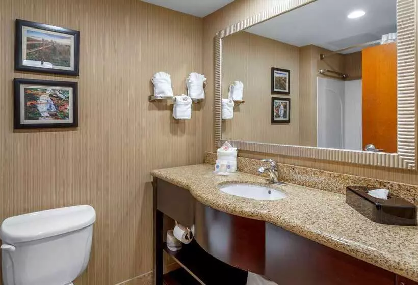 Отель Comfort Suites North