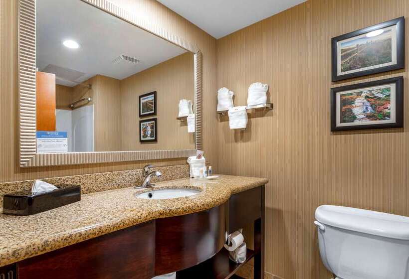 ホテル Comfort Suites North