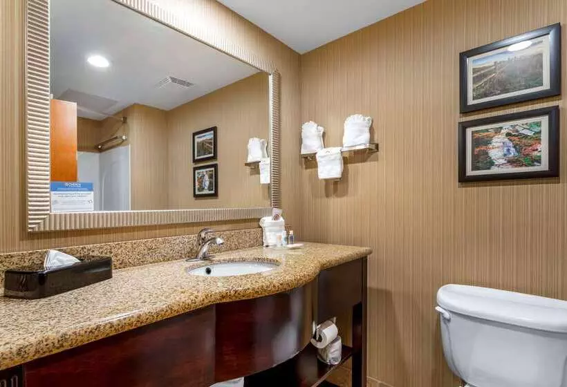 Отель Comfort Suites North