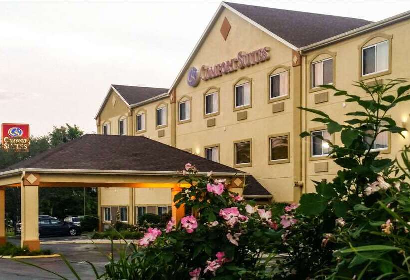 فندق Comfort Suites