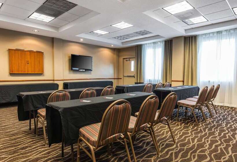 فندق Comfort Suites Tampa Airport North