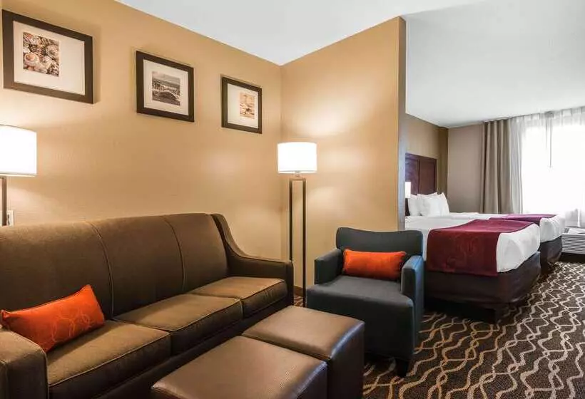 هتل Comfort Suites Tampa Airport North