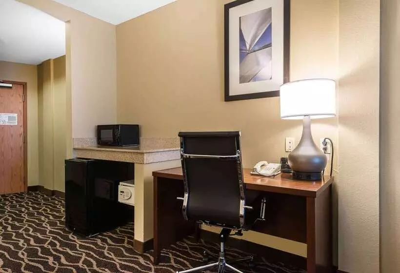 هتل Comfort Suites Tampa Airport North