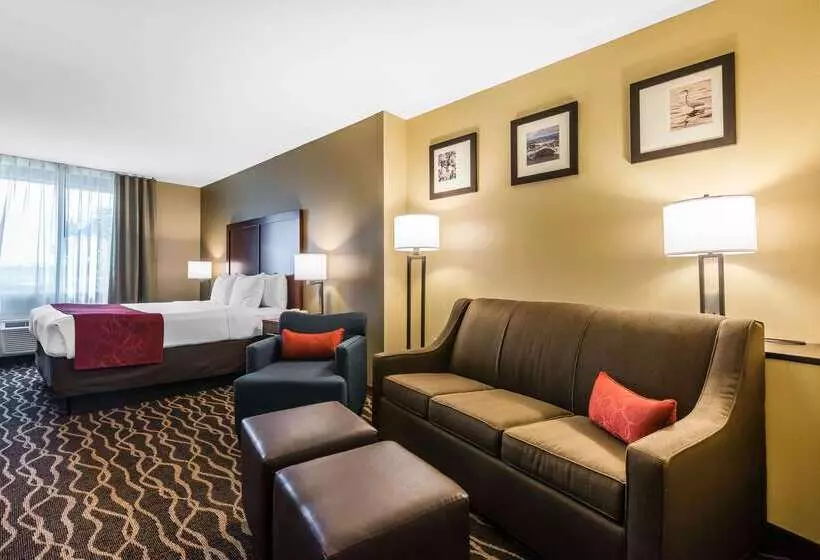 هتل Comfort Suites Tampa Airport North