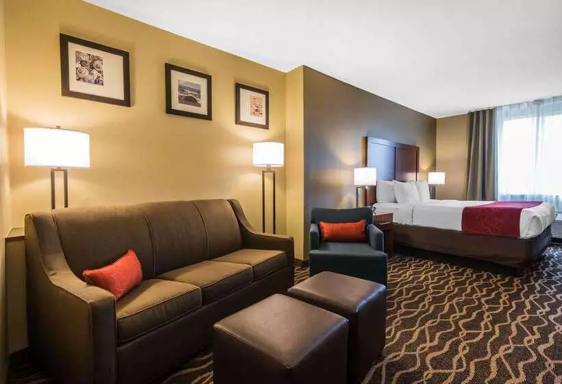 هتل Comfort Suites Tampa Airport North