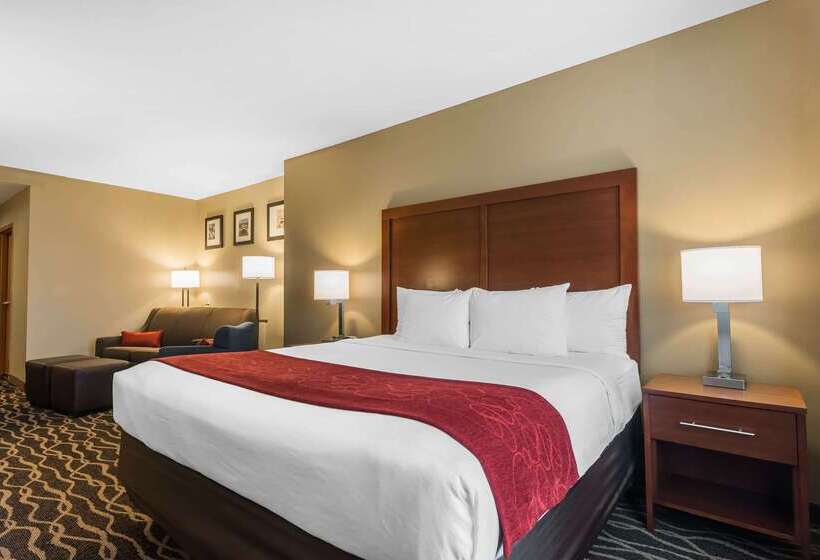 فندق Comfort Suites Tampa Airport North