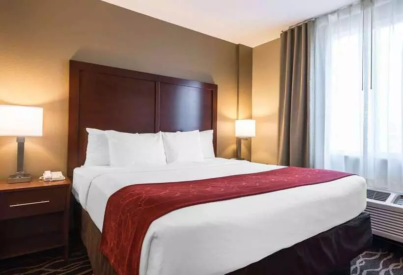 هتل Comfort Suites Tampa Airport North