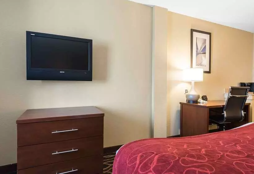 هتل Comfort Suites Tampa Airport North