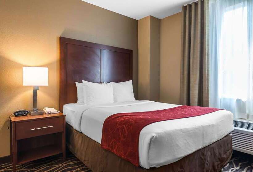 فندق Comfort Suites Tampa Airport North