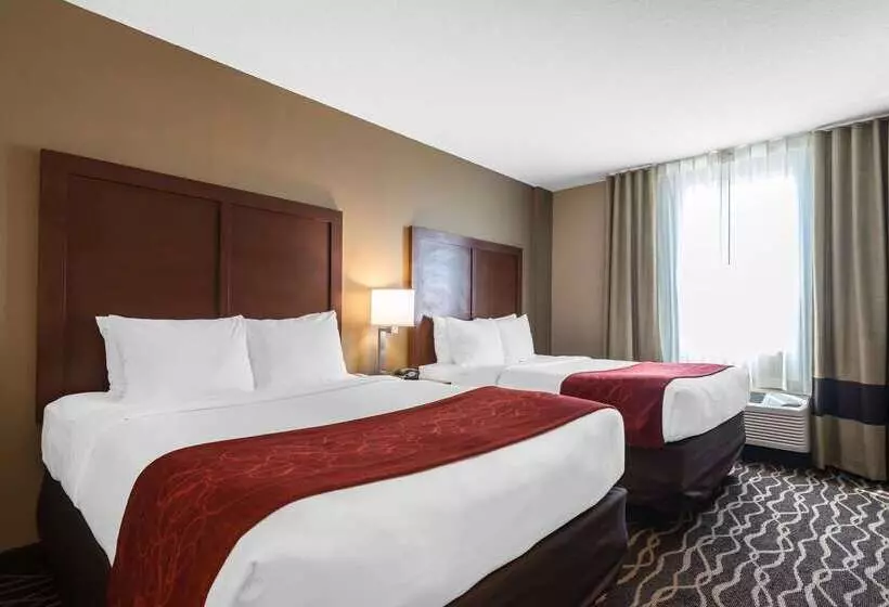 هتل Comfort Suites Tampa Airport North