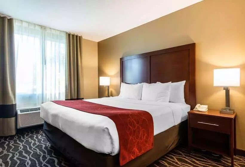 هتل Comfort Suites Tampa Airport North