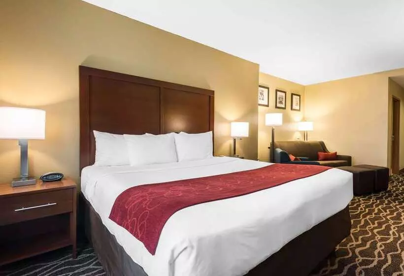 هتل Comfort Suites Tampa Airport North