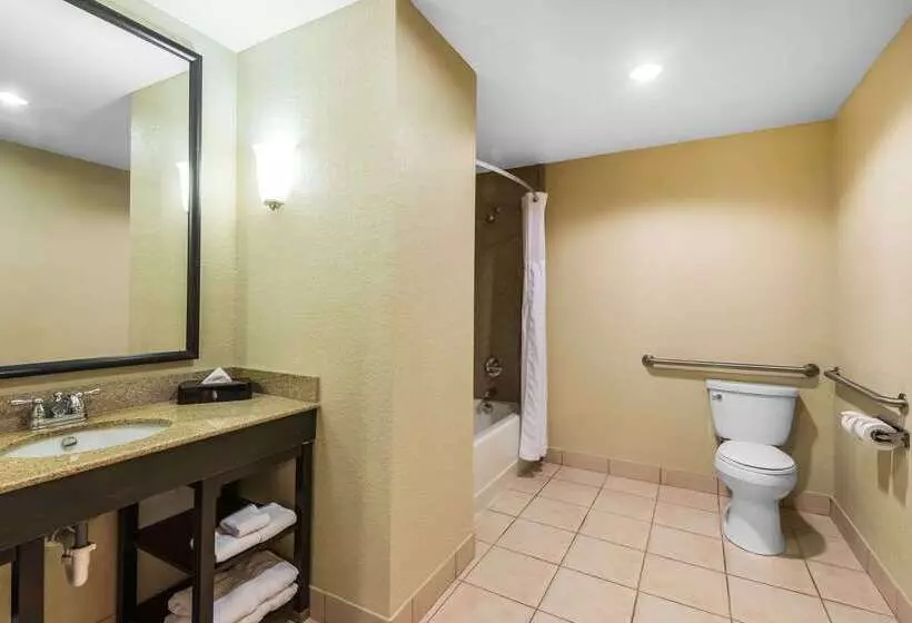 هتل Comfort Suites Tampa Airport North