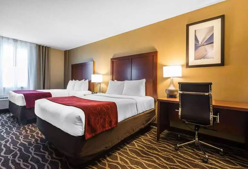 هتل Comfort Suites Tampa Airport North