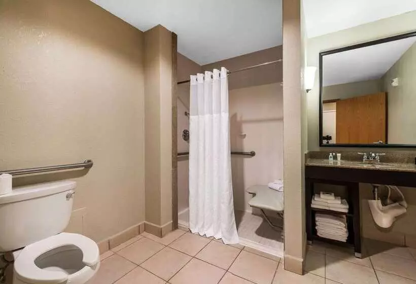 هتل Comfort Suites Tampa Airport North