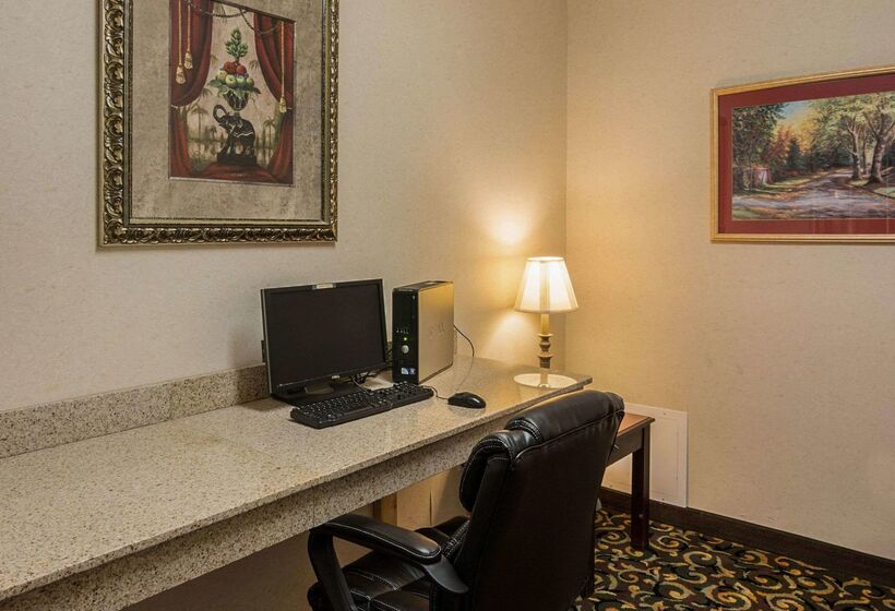 酒店 Comfort Suites Texarkana Texas