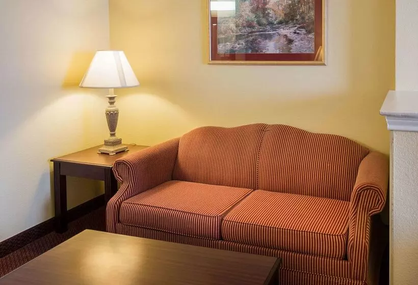 هتل Comfort Suites Texarkana Texas