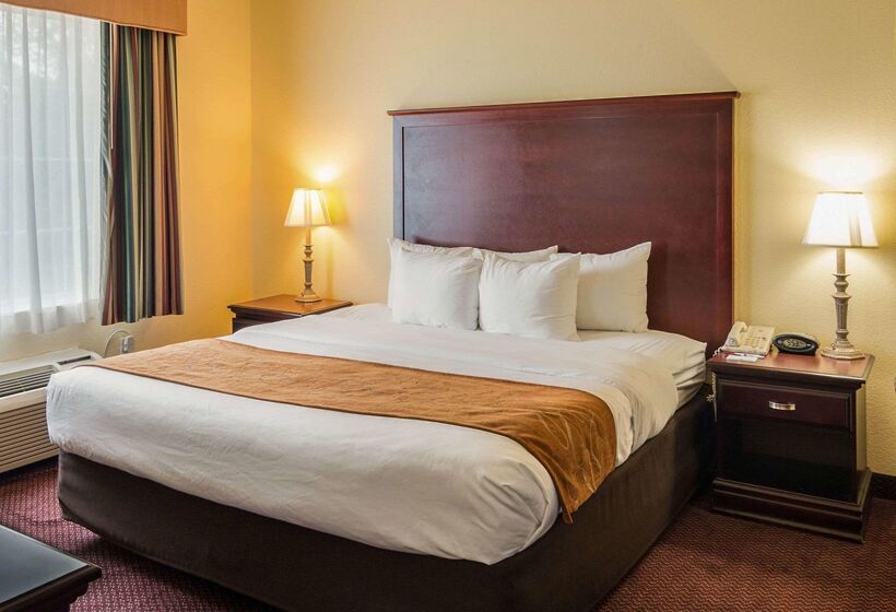 酒店 Comfort Suites Texarkana Texas