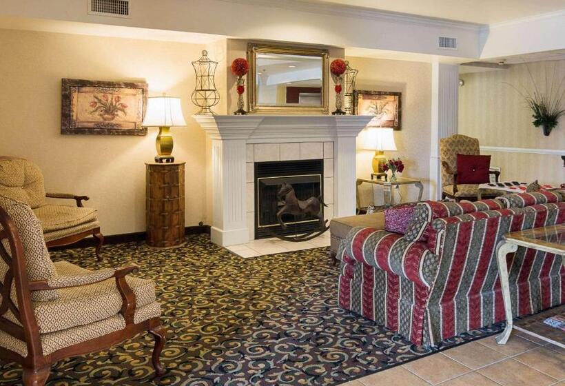 酒店 Comfort Suites Texarkana Texas