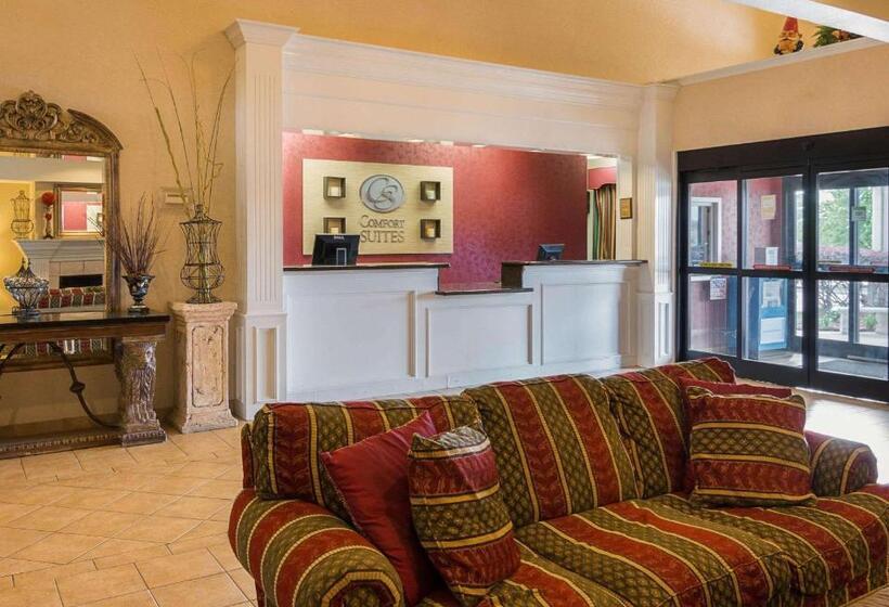酒店 Comfort Suites Texarkana Texas