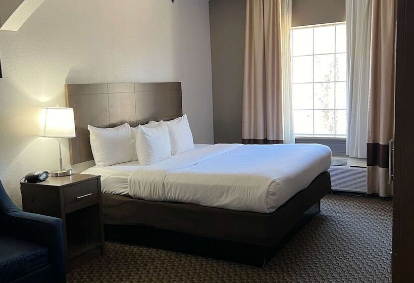 酒店 Comfort Suites Texarkana Texas