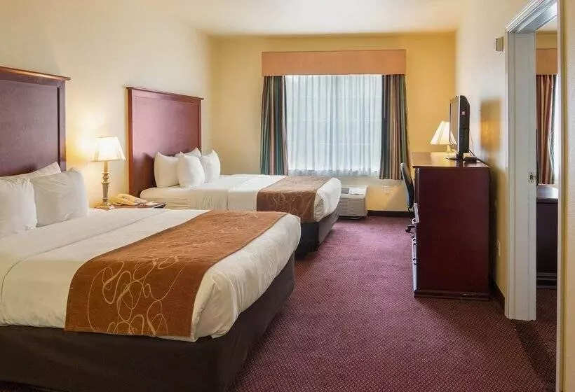 هتل Comfort Suites Texarkana Texas