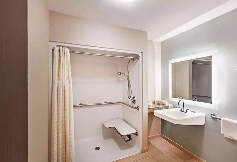 酒店 Homewood Suites By Hilton Brownsville