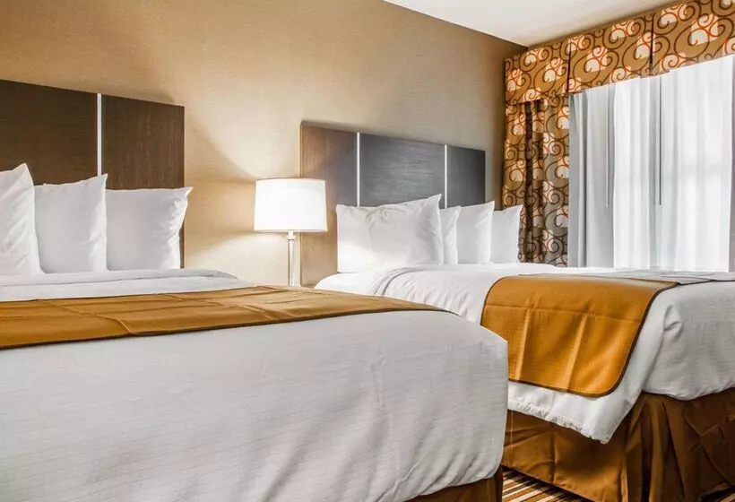 酒店 Quality Inn & Suites