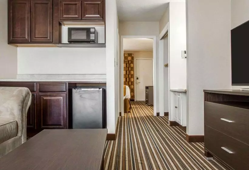 酒店 Quality Inn & Suites