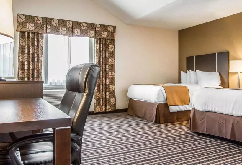 酒店 Quality Inn & Suites
