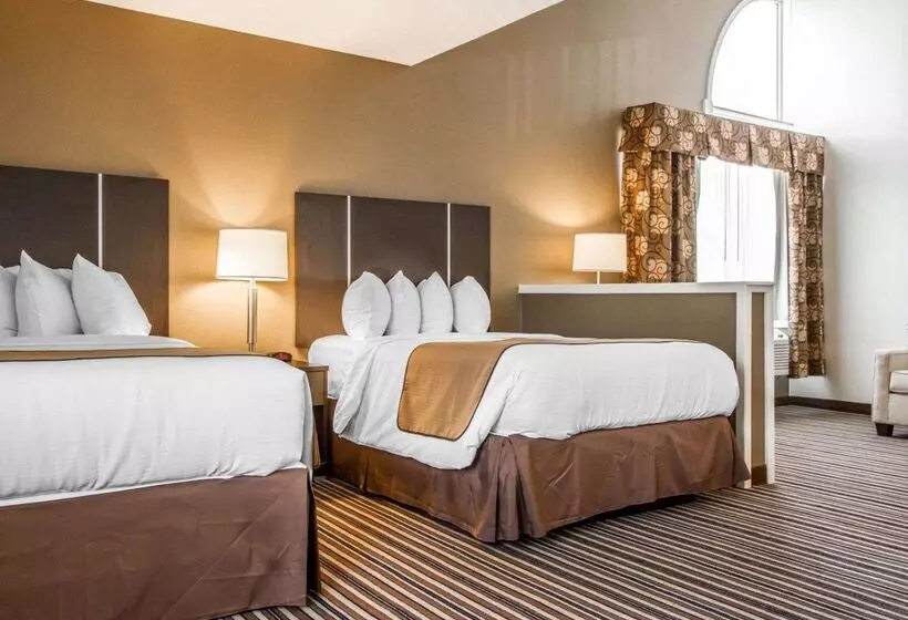 酒店 Quality Inn & Suites