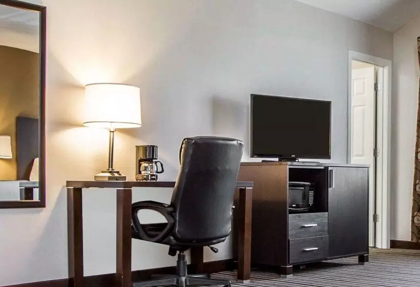 酒店 Quality Inn & Suites