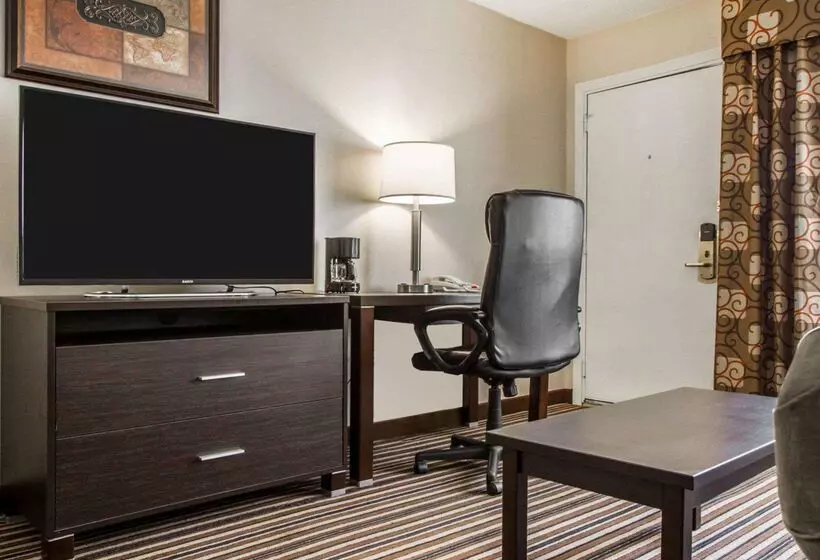 酒店 Quality Inn & Suites