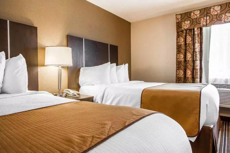 酒店 Quality Inn & Suites