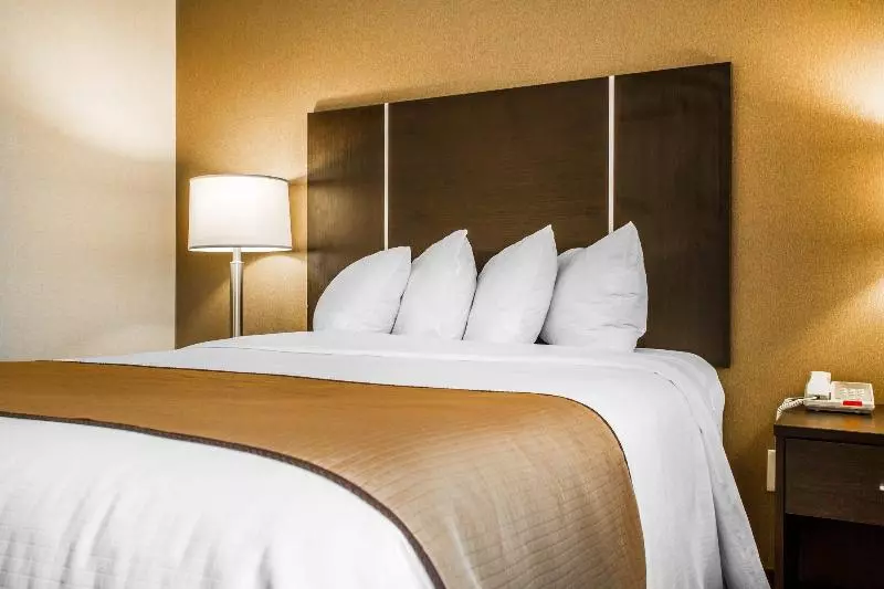 酒店 Quality Inn & Suites