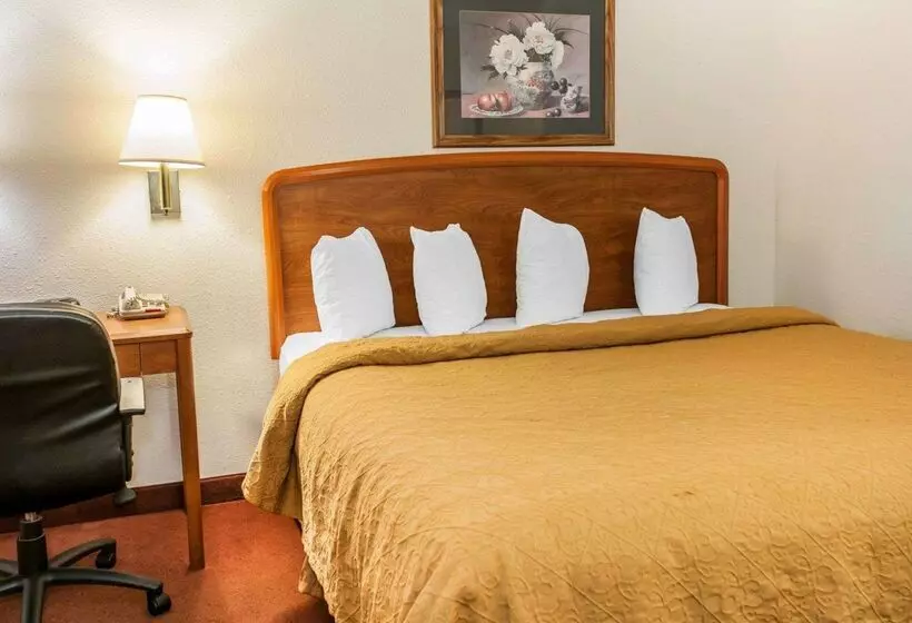 酒店 Quality Inn South